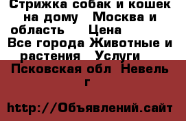 Стрижка собак и кошек на дому.  Москва и область.  › Цена ­ 1 200 - Все города Животные и растения » Услуги   . Псковская обл.,Невель г.